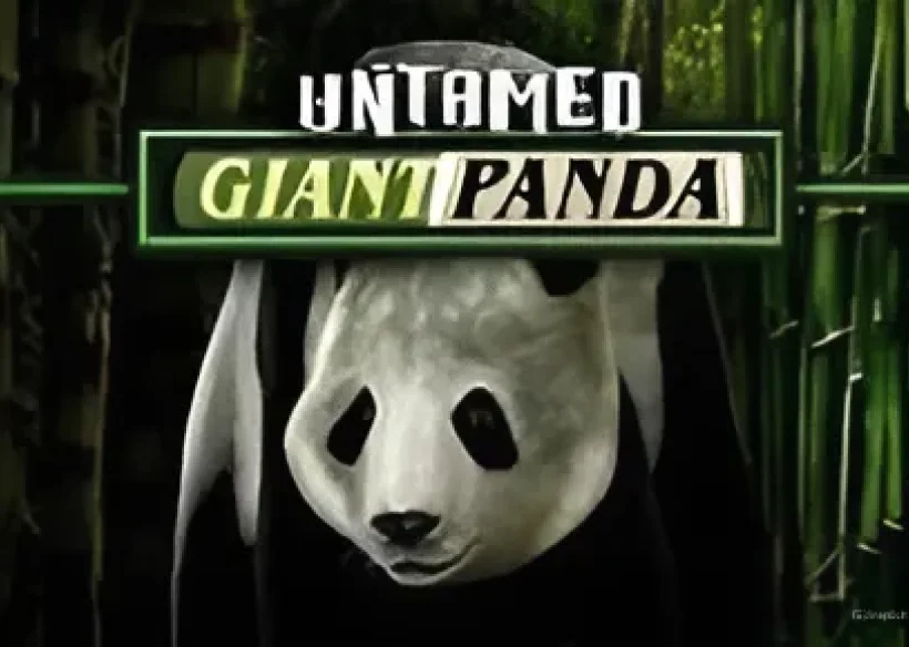 Untamed - Giant Panda image