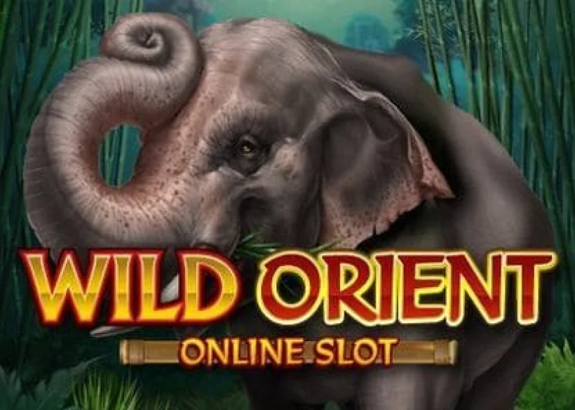 Wild Orient image